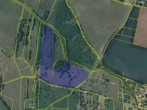 Prodej louky, Prackovice nad Labem, 41221 m2