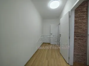 Pronájem bytu 1+1, České Budějovice, Budivojova, 49 m2