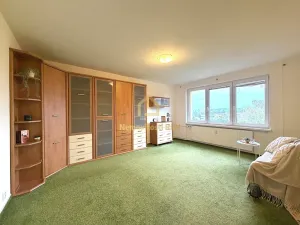 Pronájem bytu 1+1, Ostrava, Výškovická, 40 m2