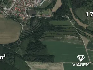 Prodej podílu lesa, Radkovice u Budče, 12665 m2