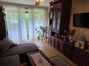 Prodej podílu bytu 3+1, Český Krumlov, Sídliště Plešivec, 75 m2