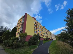 Prodej podílu bytu 3+1, Český Krumlov, Sídliště Plešivec, 75 m2