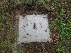 Prodej pozemku, Nová Ves pod Pleší, Ke Kapli, 1605 m2