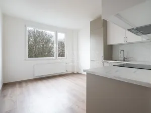 Pronájem bytu 2+kk, Děčín VI-Letná, Školní, 43 m2