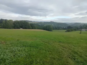 Prodej louky, Nekoř, 15200 m2