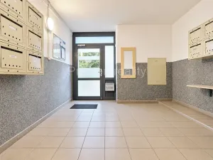 Prodej bytu 1+kk, Písek, 17. listopadu, 19 m2