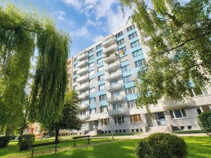 Prodej bytu 1+kk, Písek, 17. listopadu, 19 m2
