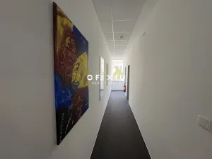 Pronájem kanceláře, Praha - Smíchov, Karla Engliše, 177 m2