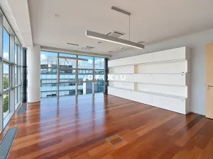 Pronájem kanceláře, Praha - Smíchov, Karla Engliše, 750 m2