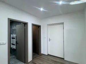 Pronájem bytu 2+kk, Plzeň - Skvrňany, Františka Kováříka, 61 m2