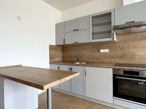 Pronájem bytu 2+kk, Brno, Vídeňská, 50 m2