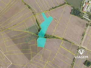 Prodej podílu pole, Veliká Ves, 3652 m2