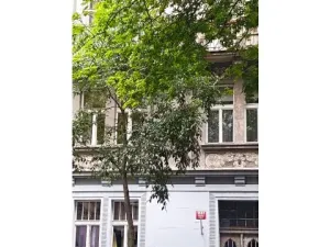 Prodej bytu 2+1, Praha - Vinohrady, Lužická, 50 m2
