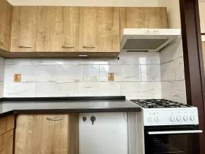 Pronájem bytu 1+1, Ostrava - Moravská Ostrava, Šalamounská, 31 m2