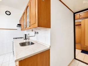 Prodej bytu 2+1, Brno, Došlíkova, 52 m2