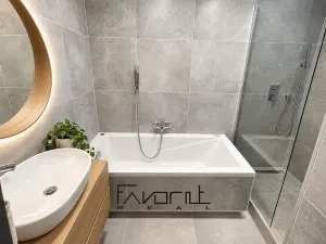Pronájem bytu 1+kk, Ostrava, Alberta Kučery, 60 m2