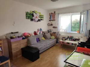 Prodej bytu 2+kk, Borovany, Hlubocká, 40 m2