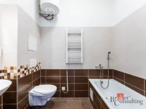 Prodej bytu 1+kk, Ostrava - Přívoz, Křišťanova, 33 m2