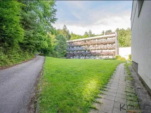 Prodej apartmánu, Všemina, 48 m2