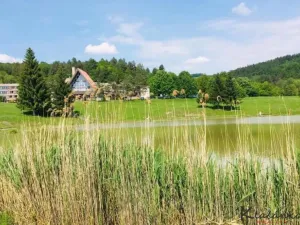 Prodej apartmánu, Všemina, 48 m2