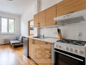 Pronájem bytu 1+1, Praha - Břevnov, Nad Kajetánkou, 33 m2