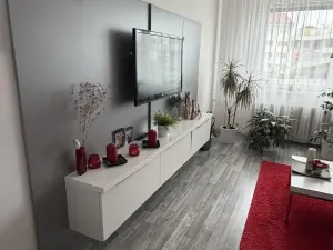Prodej bytu 2+1, Vyškov - Vyškov-Předměstí, Dukelská, 61 m2