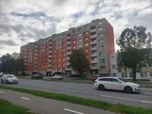 Prodej bytu 2+1, Vyškov - Vyškov-Předměstí, Dukelská, 61 m2