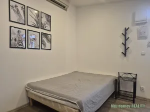 Pronájem bytu 1+kk, Praha - Karlín, Křižíkova, 15 m2