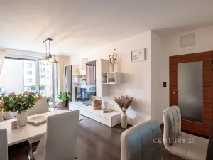 Prodej bytu 2+kk, Praha - Vysočany, Pod Harfou, 58 m2