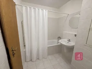 Pronájem bytu 1+1, Brno, Majdalenky, 52 m2