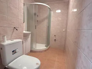 Pronájem bytu 2+1, Plzeň - Skvrňany, Vejprnická, 68 m2