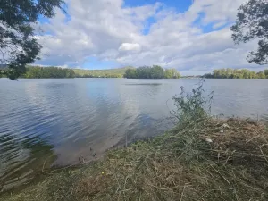 Prodej zahrady, Píšťany, 316 m2