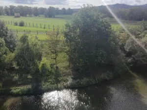 Prodej zahrady, Píšťany, 316 m2