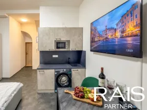 Prodej bytu 1+kk, Brno - Brno-město, Bašty, 20 m2
