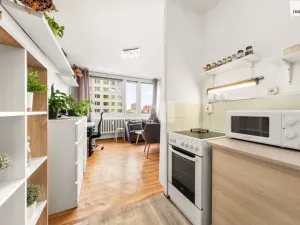 Prodej bytu 2+kk, Nymburk, Růžová, 32 m2