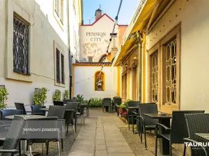 Prodej rodinného domu, Plzeň - Vnitřní Město, Pražská, 133 m2