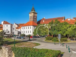 Prodej rodinného domu, Plzeň - Vnitřní Město, Pražská, 133 m2