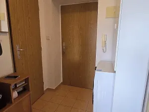 Prodej bytu 1+1, Dobříš, Březová, 31 m2