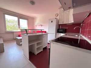 Pronájem bytu 2+kk, Starý Plzenec, Herejkova, 40 m2