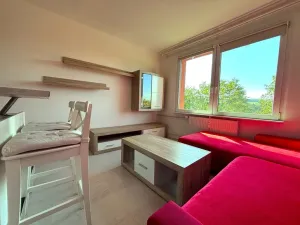 Pronájem bytu 2+kk, Starý Plzenec, Herejkova, 40 m2