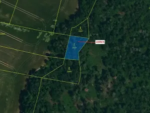 Dražba lesa, Horní Dunajovice, 594 m2