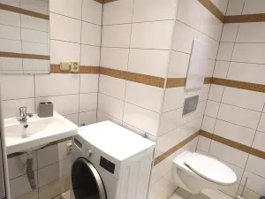 Pronájem bytu 1+kk, Ústí nad Labem - Krásné Březno, Obvodová, 32 m2