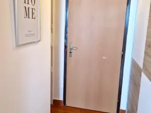 Pronájem bytu 1+kk, Ústí nad Labem - Krásné Březno, Obvodová, 32 m2