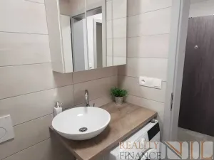 Prodej bytu 1+kk, Plzeň, Boettingerova, 39 m2