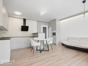 Pronájem bytu 1+kk, Ostrava - Moravská Ostrava, F. X. Riepla, 45 m2