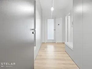 Pronájem bytu 1+kk, Ostrava - Moravská Ostrava, F. X. Riepla, 45 m2