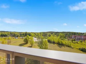 Pronájem bytu 2+kk, Ostrava - Moravská Ostrava, F. X. Riepla, 53 m2