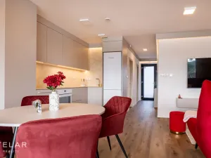 Pronájem bytu 2+kk, Soběšovice, 51 m2