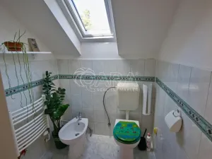 Prodej atypického bytu, Kolín - Kolín II, Mikoláše Alše, 153 m2