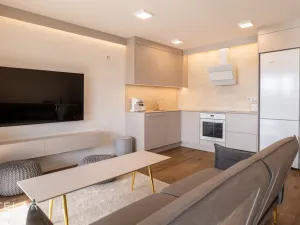 Pronájem bytu 2+kk, Soběšovice, 53 m2